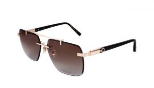 Gold And Black Nico Sunglasses Brown Lenses Result